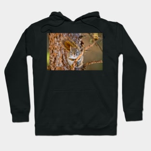 Red Squirrel Hoodie